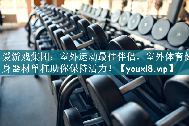 爱游戏集团：室外运动最佳伴侣，室外体育健身器材单杠助你保持活力！