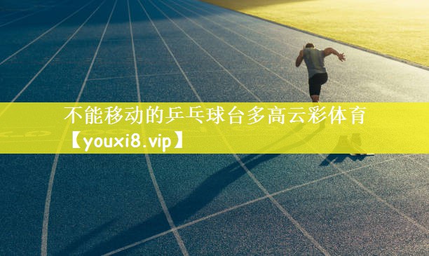 不能移动的乒乓球台多高云彩体育