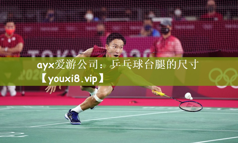 ayx爱游公司：乒乓球台腿的尺寸