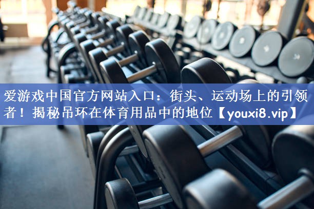 街头、运动场上的引领者！揭秘吊环在体育用品中的地位
