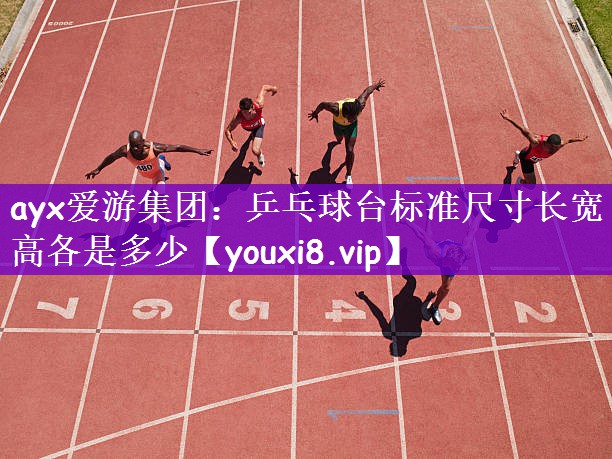 乒乓球台标准尺寸长宽高各是多少